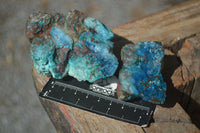 Natural Highly Selected Shattuckite Specimens  x 23 From Kaokoveld, Namibia - Toprock Gemstones and Minerals 