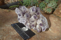 Natural Sugar Amethyst Clusters  x 2 From Zambia