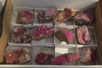 Natural Salrose Cobaltion Dolomite Specimens x 12 From Kakanda, Congo