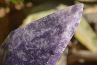 Polished  Stunning Lepidolite Standing Free Forms  x 2 From Zimbabwe