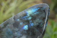 Polished Flashy Labradorite Standing Free Forms  x 3 From Tulear, Madagascar - TopRock