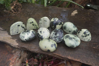 Polished Spotted Leopard Stone Free Forms  x 12 From Zimbabwe