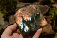 Polished Labradorite Standing Free Forms With Blue & Gold Flash  x 2 From Tulear, Madagascar - TopRock