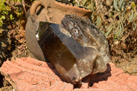 Natural Twin Floater Self Healed Smokey Quartz Crystal  x 1 From Mt. Mulanje, Malawi - TopRock