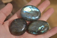 Polished Labradorite Palm Stones  x 20 From Tulear, Madagascar