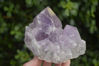 Natural Jacaranda Amethyst Clusters  x 2 From Zambia - Toprock Gemstones and Minerals 