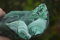 Natural Large Chatoyant Silky Malachite Specimen x 1 From Kasompe, Congo - Toprock Gemstones and Minerals 