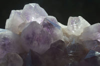 Natural Jacaranda Amethyst Cluster x 1 From Zambia - Toprock Gemstones and Minerals 