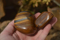 Polished Golden Tigers Eye Free Forms x 12 From Prieska, Northern Cape