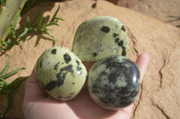 Polished Spotted Leopard Stone Free Forms  x 12 From Zimbabwe