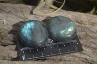 Polished Labradorite Palm Stones  x 20 From Tulear, Madagascar