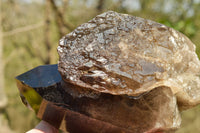 Natural Twin Floater Self Healed Smokey Quartz Crystal  x 1 From Mt. Mulanje, Malawi - TopRock