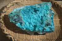 Natural Silica Chrysocolla Specimen x 1 From Congo