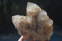 Natural Cascading White Phantom Smokey Quartz Clusters  x 3 From Luena, Congo - Toprock Gemstones and Minerals 