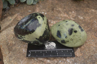 Polished  Green Leopard Stone Free Forms  x 6 From Zimbabwe