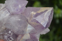 Natural Jacaranda Amethyst Clusters  x 2 From Zambia - Toprock Gemstones and Minerals 