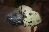 Polished Spotted Leopard Stone Free Forms  x 12 From Zimbabwe