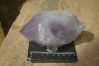 Natural Jacaranda Amethyst Clusters  x 3 From Zambia - Toprock Gemstones and Minerals 