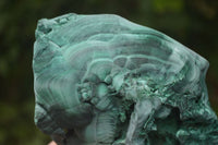 Natural Large Chatoyant Silky Malachite Specimen x 1 From Kasompe, Congo - Toprock Gemstones and Minerals 