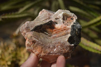 Natural New Sunset Orange Calcite Specimens  x 6 From Spitzkop, Namibia