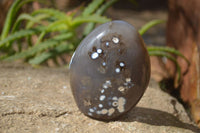 Polished Agate Standing Free Forms x 3 From Madagascar