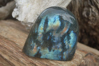 Polished Flashy Labradorite Standing Free Forms  x 3 From Tulear, Madagascar - TopRock