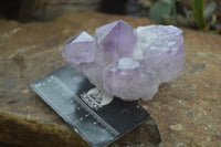 Natural Jacaranda Amethyst Clusters  x 3 From Mumbwa, Zambia - Toprock Gemstones and Minerals 