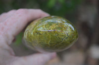 Polished Green Opal Standing Free Forms  x 3 From Madagascar - Toprock Gemstones and Minerals 