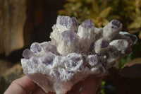 Natural Sugar Amethyst Clusters  x 2 From Zambia