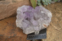 Natural Jacaranda Amethyst Clusters  x 2 From Zambia - Toprock Gemstones and Minerals 