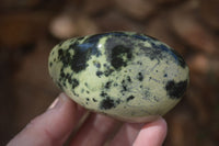 Polished  Green Leopard Stone Free Forms  x 6 From Zimbabwe