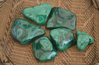 Polished Flower Malachite Free Forms  x 6 From Congo - Toprock Gemstones and Minerals 