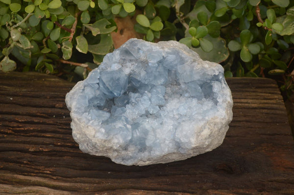 Natural Blue Celestite Geode Specimen  x 1 From Sakoany, Madagascar