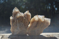 Natural Cascading White Phantom Smokey Quartz Clusters  x 3 From Luena, Congo - Toprock Gemstones and Minerals 