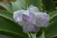 Natural Jacaranda Amethyst Clusters  x 3 From Mumbwa, Zambia - Toprock Gemstones and Minerals 