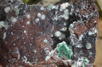 Natural Drusy Quartz Coated Malachite On Red Copper Dolomite  x 1 From Likasi, Congo - Toprock Gemstones and Minerals 