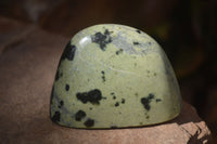 Polished Spotted Leopard Stone Free Forms  x 12 From Zimbabwe