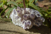 Natural Sugar Amethyst Clusters  x 2 From Zambia