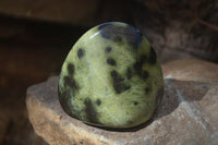 Polished  Green Leopard Stone Free Forms  x 6 From Zimbabwe