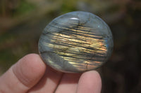 Polished Labradorite Palm Stones  x 20 From Tulear, Madagascar