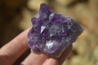 Natural Dark Amethyst Crystal Clusters  x 12 From Zambia