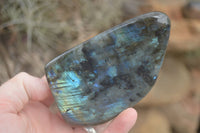 Polished Flashy Labradorite Standing Free Forms  x 3 From Tulear, Madagascar - TopRock