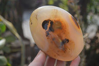 Polished Agate Standing Free Forms x 3 From Madagascar