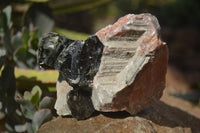 Natural New Sunset Orange Calcite Specimens  x 6 From Spitzkop, Namibia