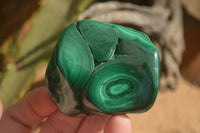 Polished Flower Malachite Free Forms  x 6 From Congo - Toprock Gemstones and Minerals 