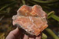 Natural New Sunset Orange Calcite Specimens  x 6 From Spitzkop, Namibia