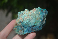 Natural Highly Selected Shattuckite Specimens  x 23 From Kaokoveld, Namibia - Toprock Gemstones and Minerals 