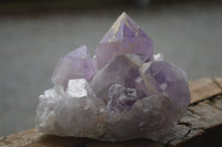 Natural Jacaranda Amethyst Clusters  x 2 From Zambia - Toprock Gemstones and Minerals 