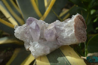 Natural Jacaranda Amethyst Clusters  x 3 From Zambia - Toprock Gemstones and Minerals 