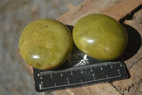 Polished Green Opal Palm Stones  x 12 From Antsirabe, Madagascar - Toprock Gemstones and Minerals 